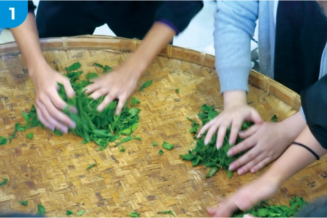 釜炒り茶を炒る