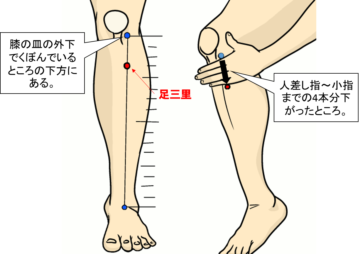 21年5月日 社会福祉学部 スポーツ健康福祉学科ブログ 社会福祉学部 九州保健福祉大学