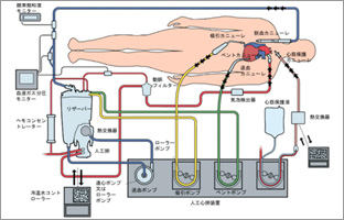 医用工学