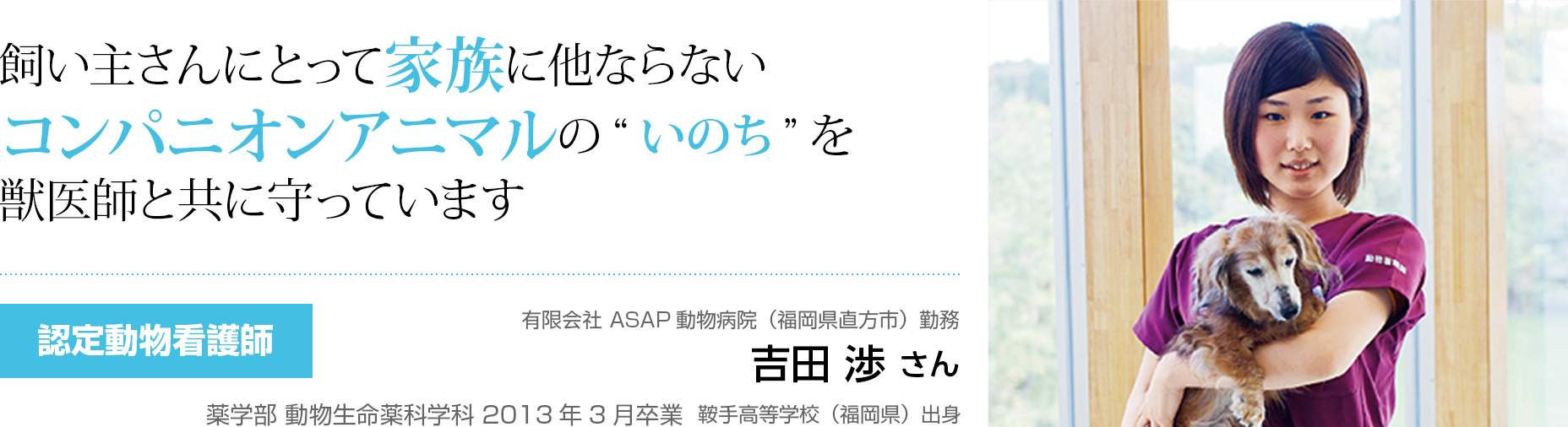 飼い主さんにとって家族に他ならないコンパニオンアニマルの”いのち”を獣医師と共に守っています　認定動物看護師　有限会社 ASAP 動物病院（福岡県直方市）勤務　吉田 渉 さん 薬学部 動物生命薬科学科 2013年3月卒業 鞍手高等学校（福岡県）出身