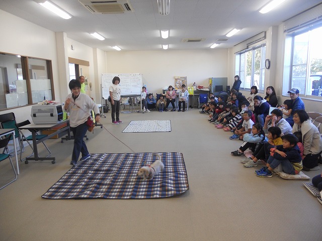 DSCN6319
